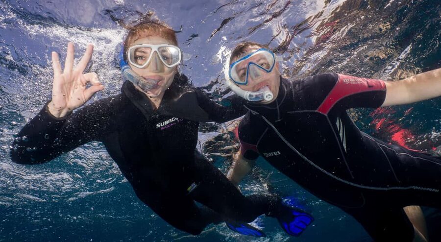 Tenerife: Snorkeling to look for Turtles and Rays - Starting at the Aqua-marina and Scuba Point meeting spots