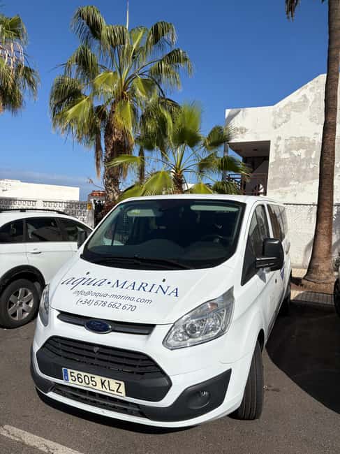 Tenerife: Snorkeling to look for Turtles and Rays - Should you book this Tenerife snorkeling trip?