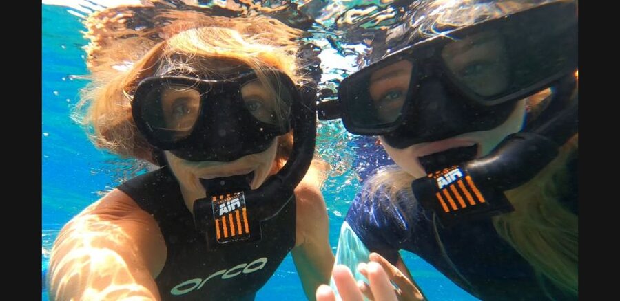 Tenerife: Snorkeling Tour in a Marine Protected Area - What Happens in the 2 Hours: Meet, Fit Up, Then 50 Minutes in Water