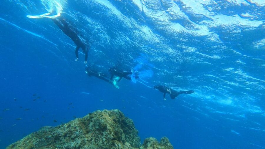 Tenerife: Snorkeling Tour in a Marine Protected Area - Photos and Videos: Free Underwater Memory Without a Camera Setup