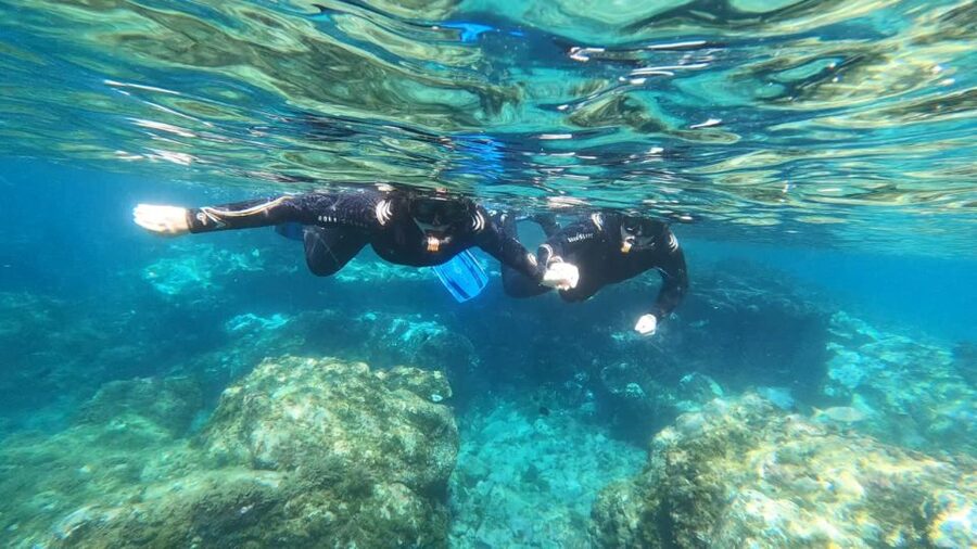 Tenerife: Snorkeling Tour in a Marine Protected Area - The Gear That Makes Beginner Snorkeling Feel Real