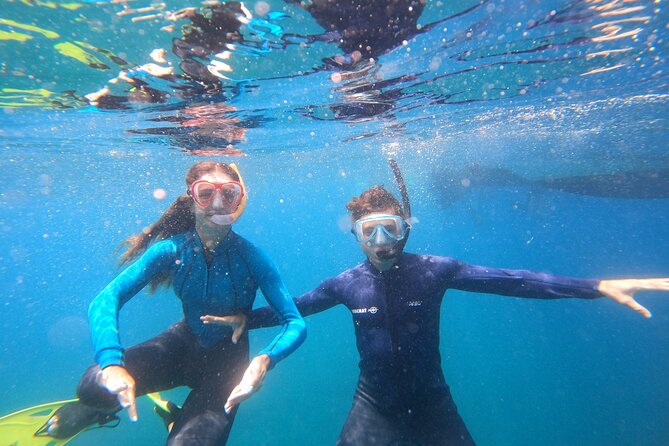 Tenerife Snorkeling Tour in turtle habitat - Motion and comfort tips that help on this exact route
