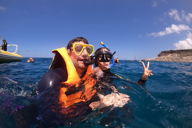 Tenerife Snorkeling Tour in turtle habitat - Gear, wet suit, and the briefing that actually helps