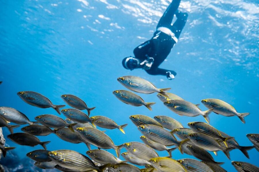 Tenerife : Snorkeling underwater with freediving Instructor - Yoga, stretching, Qigong, and conscious breathing for calm underwater