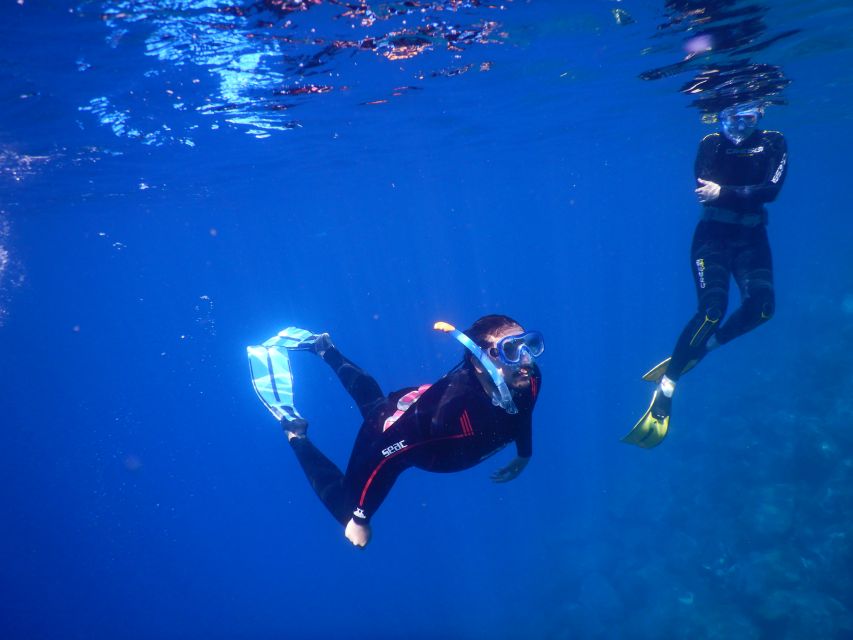 Tenerife : Snorkeling underwater with freediving Instructor - Photos, snacks, and how to end the session feeling good
