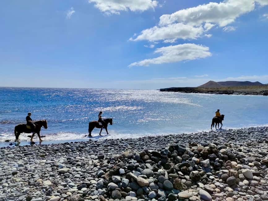 Tenerife South: Private Horseback Ride to the Coast - Key Things That Make This Ride Worth It