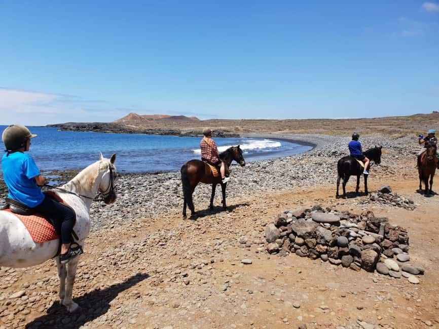 Tenerife South: Private Horseback Ride to the Coast - The Private Factor: Why This Feels Easier Than a Bigger Tour