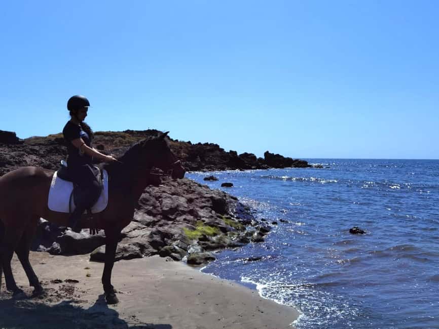 Tenerife South: Private Horseback Ride to the Coast - How the 2-Hour Timing Actually Plays Out