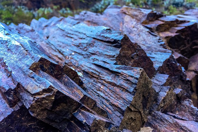 Tenerife South Private Tour: Secrets of the Volcanoes - Price and value: is $921.15 per group a fair deal?