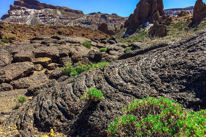 Tenerife South Private Tour: Secrets of the Volcanoes - Language, guide style, and how the day stays personal