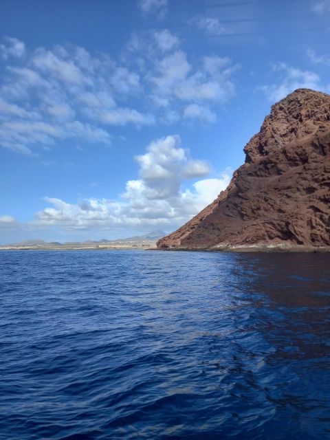 Tenerife south: safari with luxury boat , animals encounters - Price and logistics: is $73 good value for this kind of cruise?