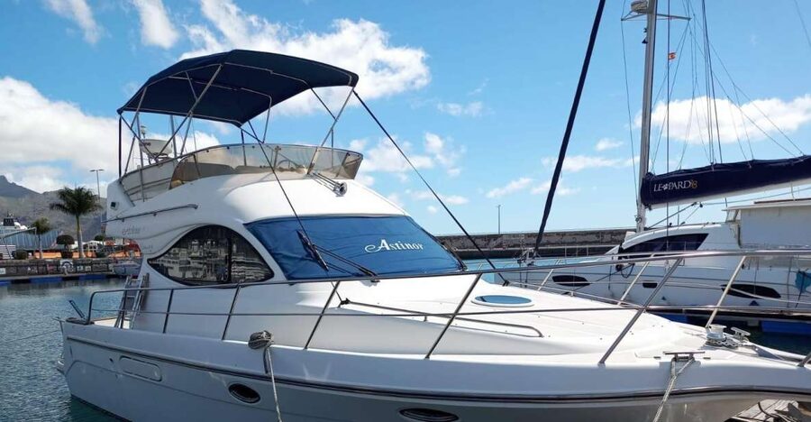 Tenerife south: safari with luxury boat , animals encounters - Las Galletas pickup and a smooth start in Tenerife’s south