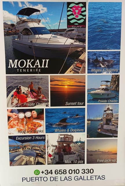 Tenerife south: safari with luxury boat , animals encounters - Inside the two-story luxury boat: comfort that actually helps