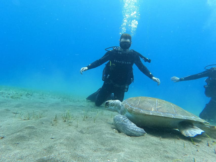Tenerife south: Scuba Dive for beginners in Adeje - Key things you will notice