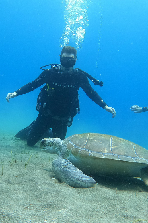 Tenerife south: Scuba Dive for beginners in Adeje - Tenerife South, Adeje: Why this works so well for first-timers