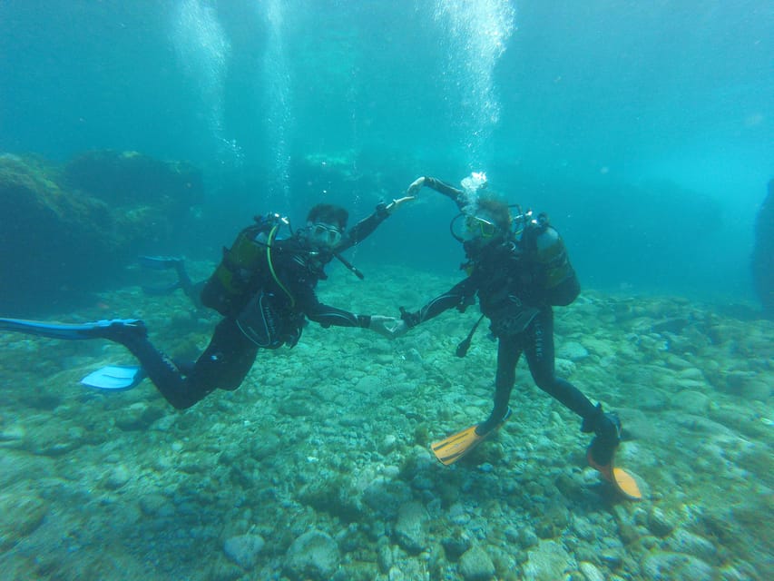 Tenerife south: Scuba Dive for beginners in Adeje - Your 45-minute water session: skills first, then looking around