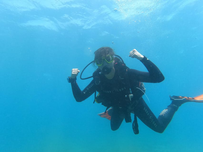 Tenerife south: Scuba Dive for beginners in Adeje - Price and value: is $100 per person worth it?
