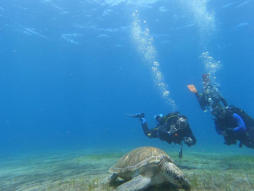 Tenerife south: Scuba Dive for beginners in Adeje - Languages and pacing: English plus four more options