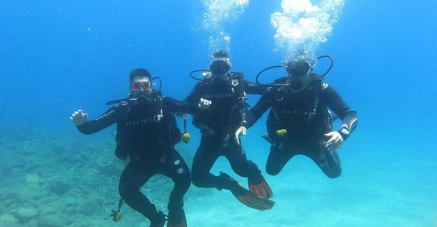Tenerife south: Scuba Dive for beginners in Adeje - Timing and meeting point at Hotel GF Isabel (8:45 start)
