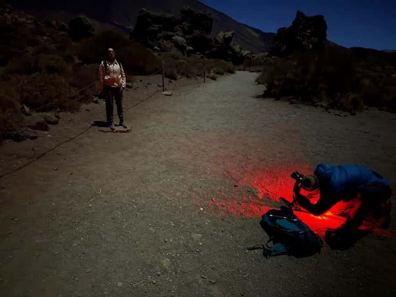 Tenerife: Stargazing Walk in Teide National Park - Teide National Park after dark: why the stars pop here