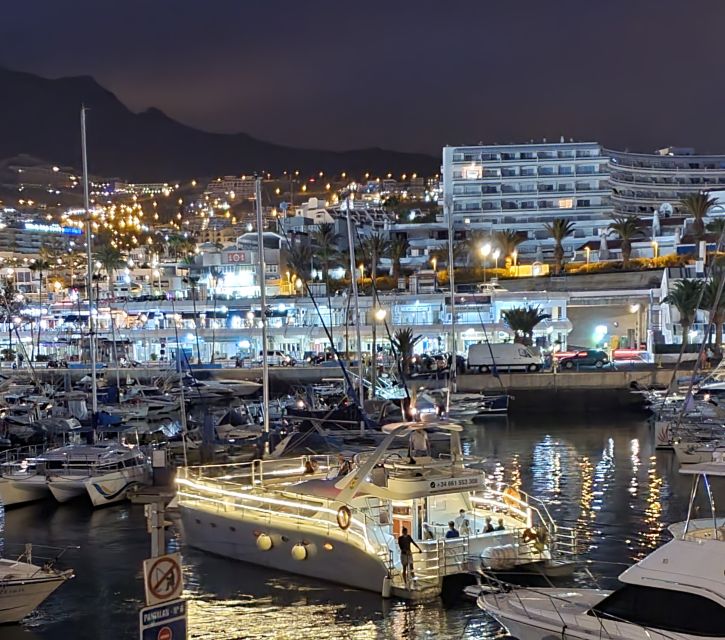 Tenerife: Sunset Catamaran Tour with Transfer, Buff & Drinks - Price and value: why $73 makes sense for what you get