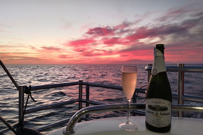 Tenerife Sunset Catamaran tour with transfer - Food and Drinks included. - Wildlife spotting in a short window: whales, dolphins, turtles, and flying fish