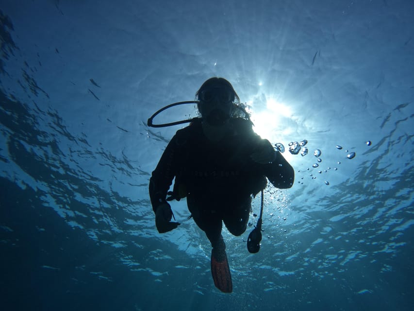 Tenerife sur: Buceo para principiantes en Adeje - What You’ll See Underwater (and How to Enjoy It)