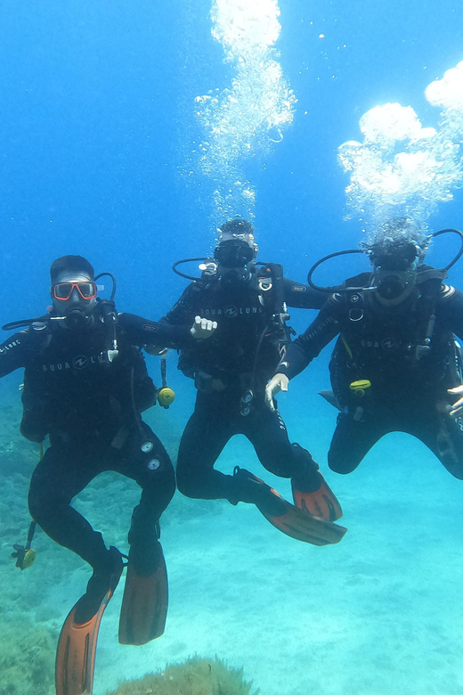 Tenerife sur: Buceo para principiantes en Adeje - Price and Value: What You’re Really Paying For