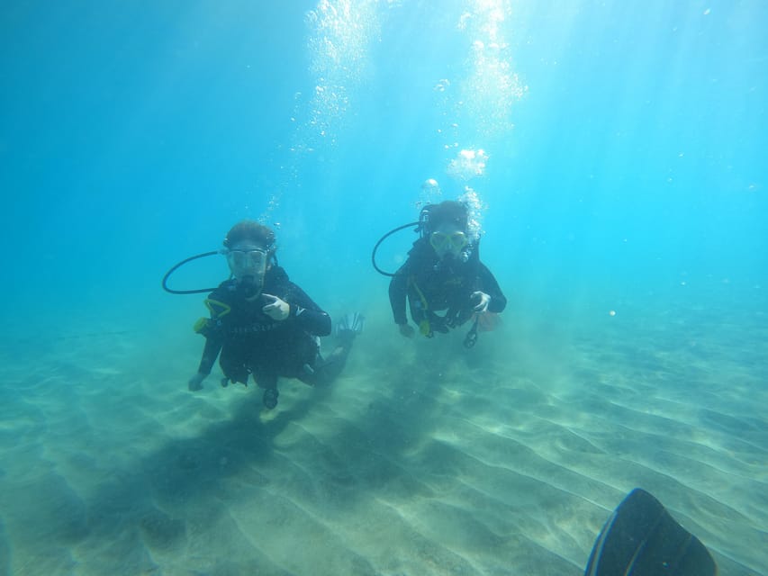 Tenerife sur: Buceo para principiantes en Adeje - Who This Suits Best in Tenerife (and Who Should Skip It)