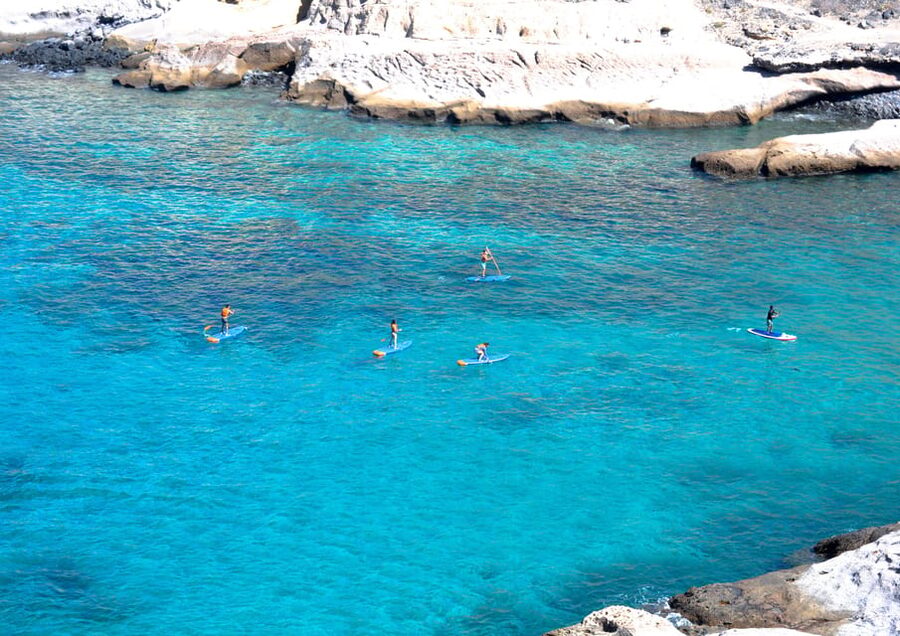 TENERIFE SUR | unforgettable SUP - SNORKELING EXPERIENCE - What’s included, what to bring, and what to wear