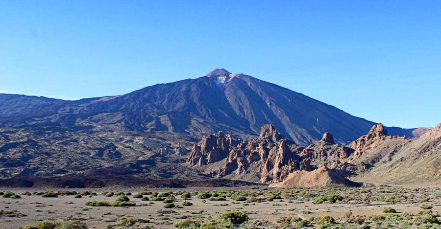 Tenerife: Teide and Las Cañadas Half-Day Tour - The drive through Teide National Park pine forests and what to look for