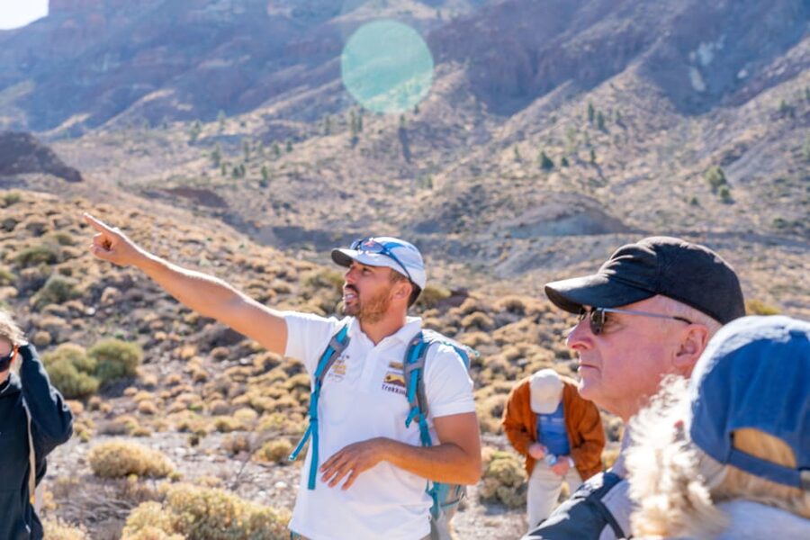 Tenerife : Teide Hiking - Price and value: is $65 worth it for a half-day Teide hike?