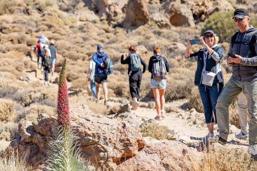 Tenerife : Teide Hiking - What to bring so the day stays comfortable