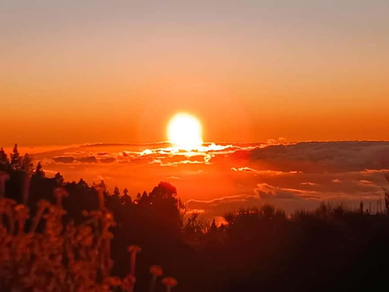 Tenerife: Teide, Masca, Garachico, and Sunset Exclusive Tour - Masca Valley and the Easy Hike Through Buena Vista