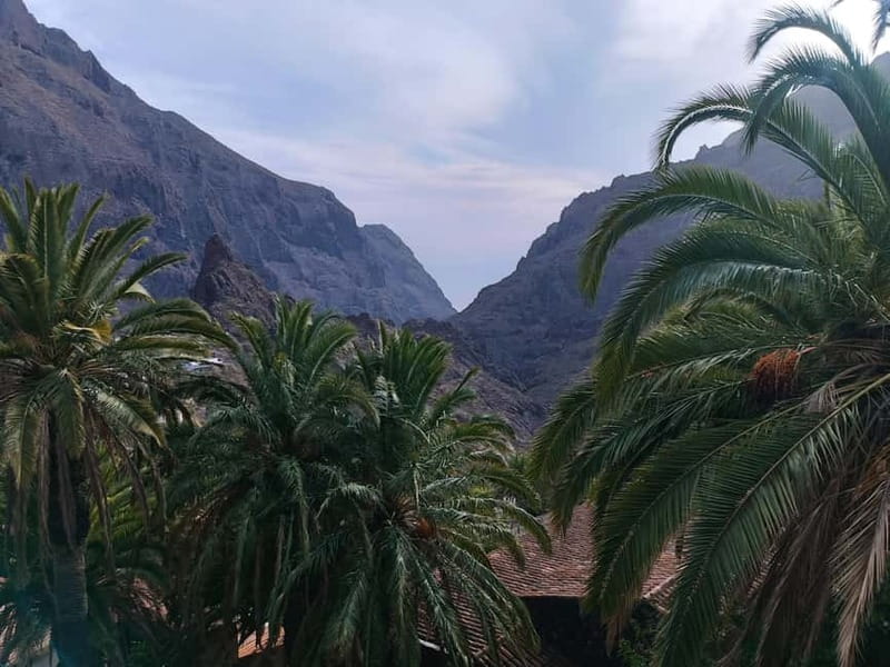 Tenerife: Teide, Masca, Garachico, and Sunset Exclusive Tour - Miradors, Photo Stops, and How the Day Keeps Its Flow
