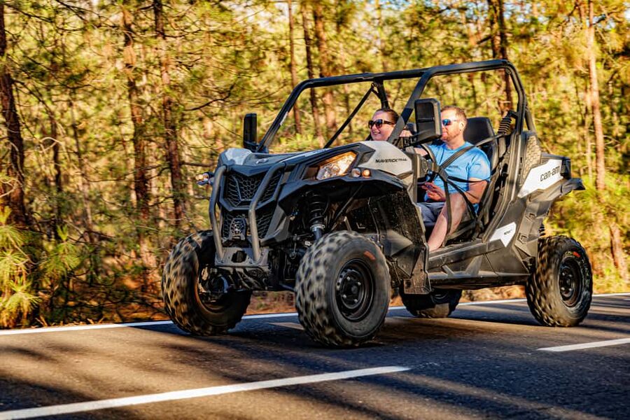 Tenerife: Teide Mountain Buggy On-Road GuidedTour with drink - Key things to know before you book