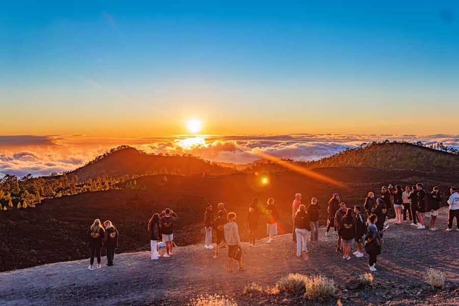 Tenerife: Teide Mountain On-Road Guided Quad Tour with drink - Safety Briefing First: What You Are Actually Signing Up For