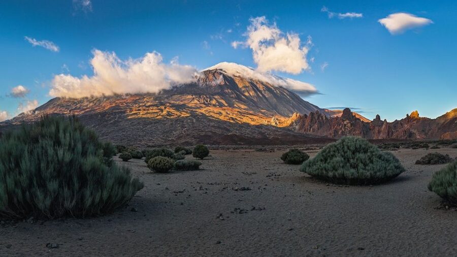 Tenerife: Teide National Park and Dolphins Sailboat Tour - A 7-hour combo day: Teide viewpoints plus a 3-hour sail