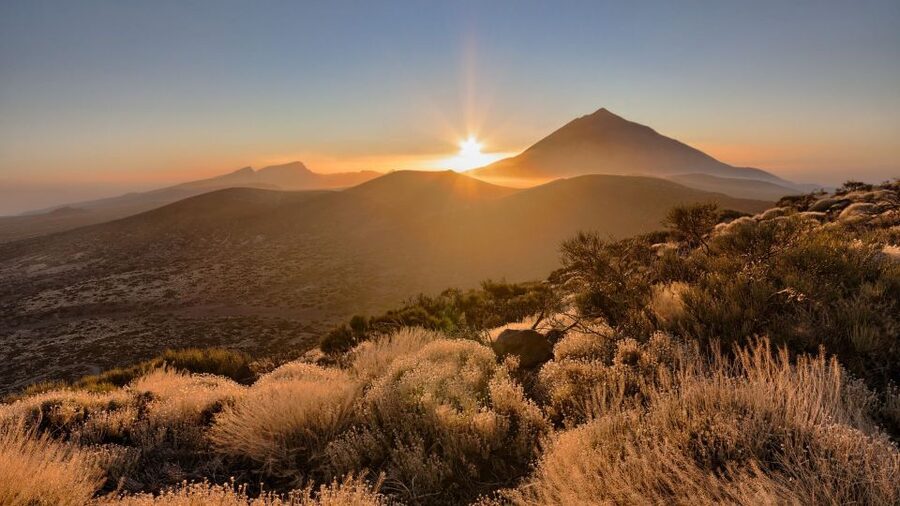 Tenerife: Teide National Park and Dolphins Sailboat Tour - Teide National Park stops: what you will see from the viewpoints