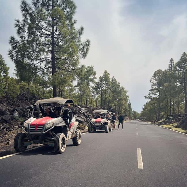 Tenerife: Teide National Park and Volcano Buggy Tour - Automatic buggy driving rules (the stuff that matters)