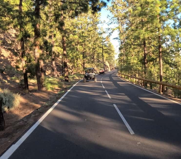 Tenerife: Teide National Park and Volcano Buggy Tour - The guide, and why you should pay attention to the photo timing