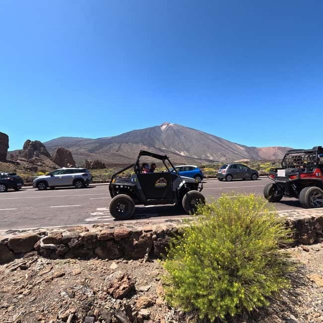 Tenerife: Teide National Park and Volcano Buggy Tour - Who this buggy tour suits best