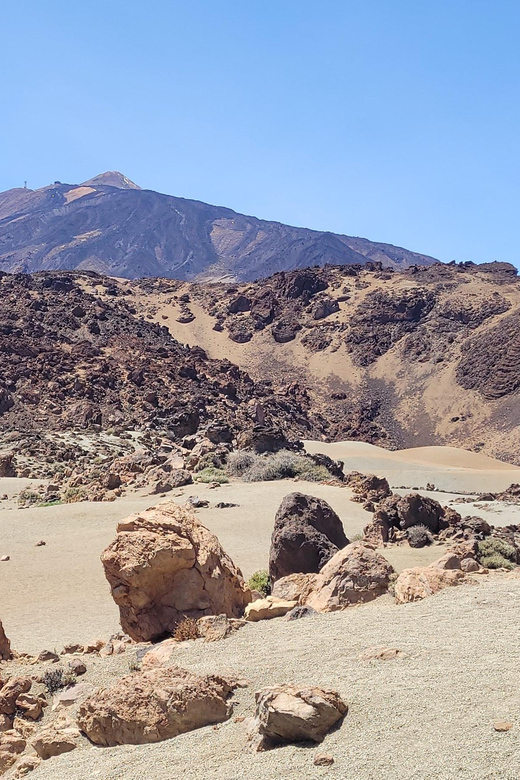Tenerife: Teide National Park Buggy Tour with Hotel Transfer - Should you book the Teide National Park buggy tour?