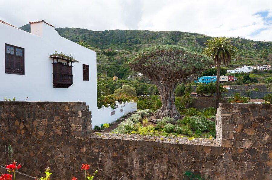 Tenerife: Teide National Park Full-Day Tour with Pickup - Film-famous volcanic rocks: Planet of the Apes and Clash of the Titans