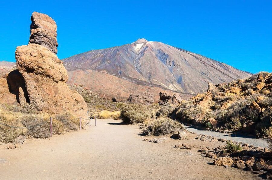 Tenerife: Teide National Park Full-Day Tour with Pickup - Mt. Teide drive: pine forests, the plateau, and the real lunar feel