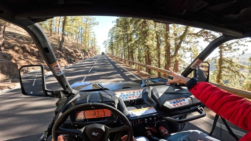 Tenerife: Teide National Park Guided Buggy Tour - Price and value, what $230 per group really buys