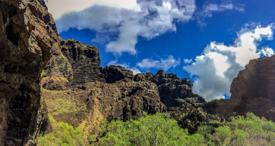 Tenerife: Teide National Park & Teno Rural Park Private Tour - Key highlights at a glance