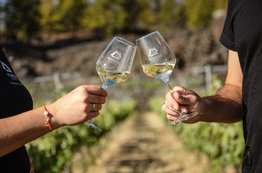 Tenerife: Tour of an Organic Vineyard with Tasting & Snacks - Why organic wine here feels more than a label