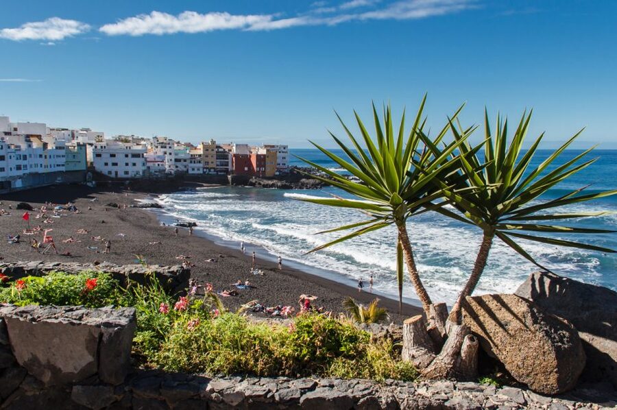 Tenerife: Trip to Puerto de la Cruz - Coach Logistics and Timing, What to Watch for