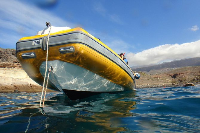 Tenerife Turtle and Snorkel Tour from Costa Adeje - Price and Value at About $57.67: What You Get for the Money